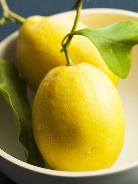 Laurent Grivet, photographie culinaire - citrons